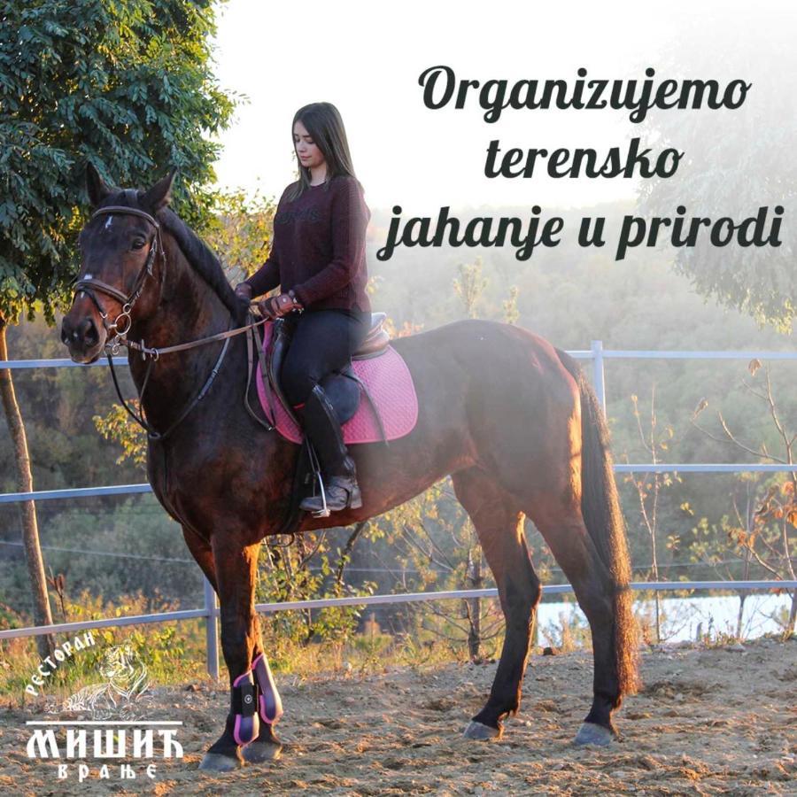Zoo Misic Prenociste Hotel Vranje Bagian luar foto